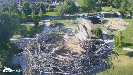 Coeur d'Alene Idaho Osprey Nest Live Cam - Jun 18, 2026, 6:29pm PDT