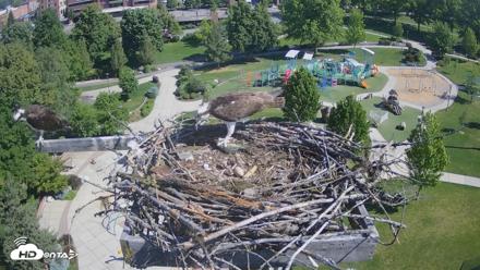 Coeur d'Alene Idaho Osprey Nest Live Cam - May 28, 2026, 9:41am PDT
