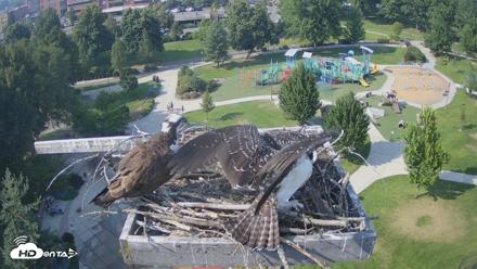 Coeur d'Alene Idaho Osprey Nest Live Cam - Jul 27, 2026, 4:34pm PDT