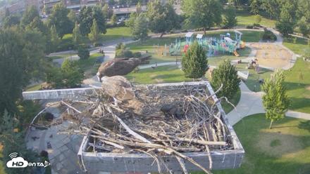 Coeur d'Alene Idaho Osprey Nest Live Cam - Jul 28, 2026, 6:35pm PDT