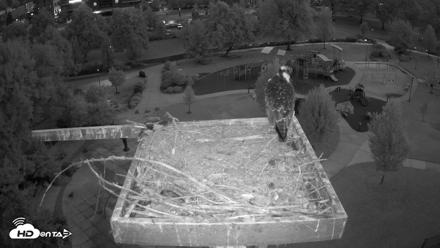 Coeur d'Alene Idaho Osprey Nest Live Cam - Aug 14, 2026, 5:17am PDT