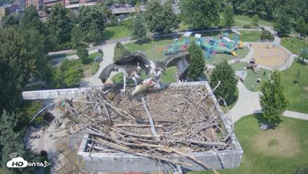 Coeur d'Alene Idaho Osprey Nest Live Cam - Jul 30, 2026, 2:02pm PDT