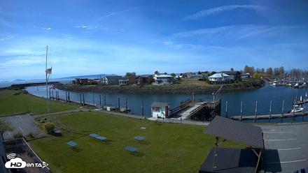 Point Roberts Marina SW Live Webcam - Apr 20, 2026, 11:07am PDT