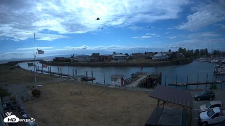 Point Roberts Marina SW Live Webcam - Sep 7, 2026, 1:14pm PDT