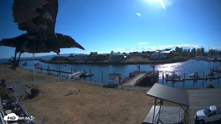 Point Roberts Marina SW Live Webcam - Sep 6, 2026, 4:29pm PDT