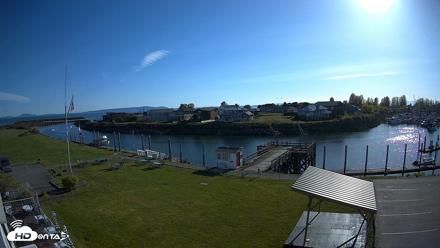 Point Roberts Marina SW Live Webcam - Apr 24, 2026, 5:29pm PDT