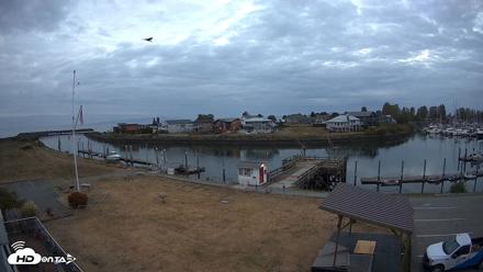Point Roberts Marina SW Live Webcam - Sep 15, 2026, 6:46am PDT