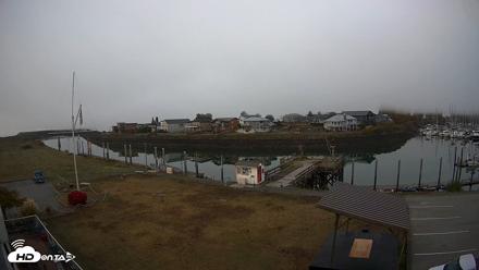 Point Roberts Marina SW Live Webcam - Oct 4, 2026, 7:16am PDT