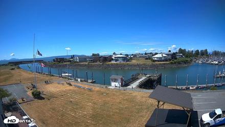 Point Roberts Marina SW Live Webcam - Jun 11, 2026, 11:20am PDT