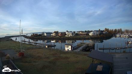 Point Roberts Marina SW Live Webcam - Oct 16, 2026, 8:25am PDT