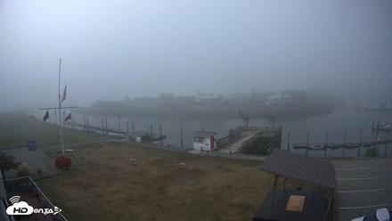 Point Roberts Marina SW Live Webcam - Oct 4, 2026, 11:10am PDT