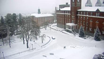 Holy Cross Linden Lane Live Cam - Feb 7, 2026, 8:34am EST