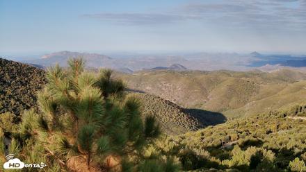 Cuyamaca Mountain Live Weather Cam - Oct 6, 2026, 7:53am PDT