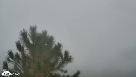 Cuyamaca Mountain Live Weather Cam - Oct 11, 2026, 11:34am PDT
