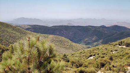 Cuyamaca Mountain Live Weather Cam - Sep 4, 2025, 12:21pm PDT