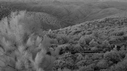 Cuyamaca Mountain Live Weather Cam - Oct 24, 2025, 6:37am PDT