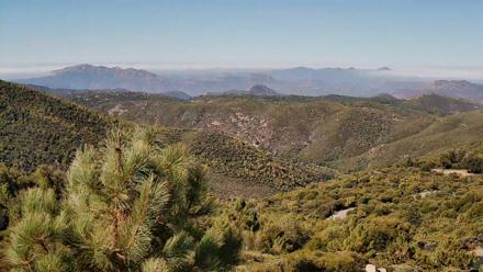 Cuyamaca Mountain Live Weather Cam - Oct 7, 2025, 10:39am PDT