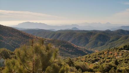 Cuyamaca Mountain Live Weather Cam - Nov 30, 2025, 2:02pm PST