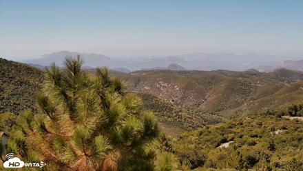 Cuyamaca Mountain Live Weather Cam - Sep 30, 2026, 12:16pm PDT