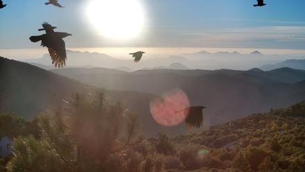 Cuyamaca Mountain Live Weather Cam - Oct 25, 2025, 5:42pm PDT