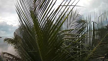 Turks & Caicos Long Bay Live Webcam - Oct 31, 2025, 10:27am EDT