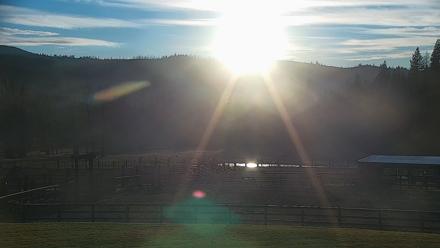 Greenhorn Ranch Live Horse Arena Cam - Dec 5, 2025, 4:12pm PST