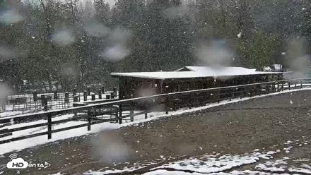Greenhorn Ranch Live Horse Arena Cam - Apr 12, 2026, 12:06pm PDT