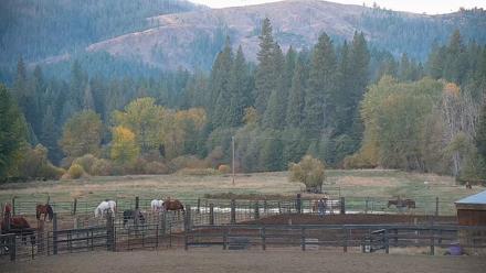 Greenhorn Ranch Live Horse Arena Cam - Oct 21, 2025, 7:24am PDT