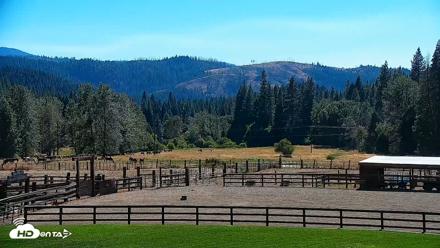 Greenhorn Ranch Live Horse Arena Cam - Aug 19, 2026, 4:24pm PDT