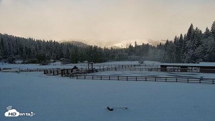 Greenhorn Ranch Live Horse Arena Cam - Apr 12, 2026, 8:33am PDT