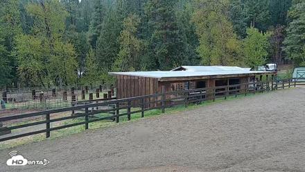 Greenhorn Ranch Live Horse Arena Cam - Apr 10, 2026, 11:55am PDT