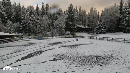Greenhorn Ranch Live Horse Arena Cam - Apr 12, 2026, 8:34am PDT