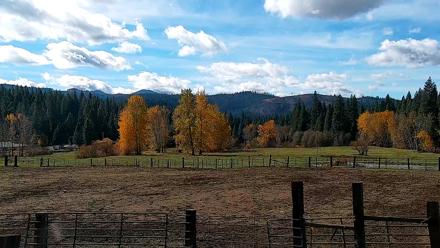 Greenhorn Ranch Live Horse Arena Cam - Nov 7, 2025, 12:06pm PST