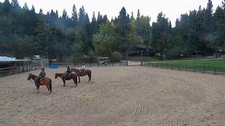 Greenhorn Ranch Live Horse Arena Cam - Oct 14, 2025, 2:26pm PDT
