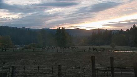 Greenhorn Ranch Live Horse Arena Cam - Oct 22, 2025, 6:33pm PDT