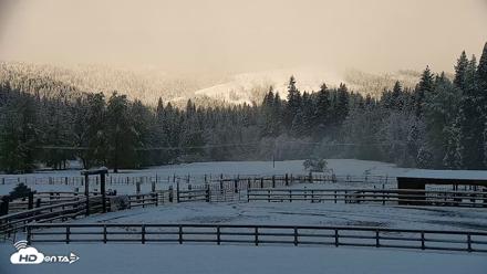 Greenhorn Ranch Live Horse Arena Cam - Apr 12, 2026, 8:33am PDT