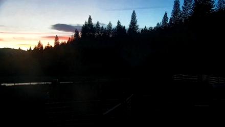 Greenhorn Ranch Live Horse Arena Cam - Oct 31, 2025, 6:22pm PDT