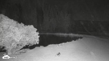 Greenhorn Ranch Live Horse Arena Cam - Sep 23, 2026, 9:11pm PDT