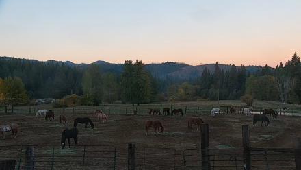 Greenhorn Ranch Live Horse Arena Cam - Oct 21, 2025, 7:21am PDT