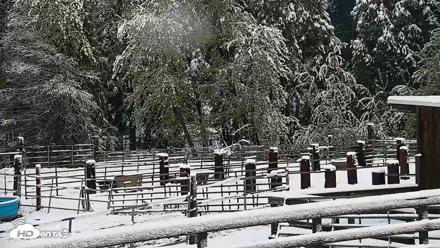 Greenhorn Ranch Live Horse Arena Cam - Apr 12, 2026, 8:35am PDT