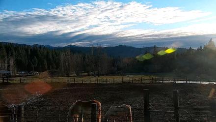 Greenhorn Ranch Live Horse Arena Cam - Mar 1, 2026, 5:20pm PST
