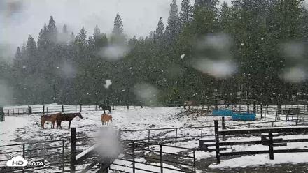 Greenhorn Ranch Live Horse Arena Cam - Apr 12, 2026, 12:05pm PDT