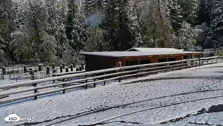 Greenhorn Ranch Live Horse Arena Cam - Apr 12, 2026, 8:36am PDT