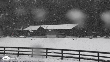 Greenhorn Ranch Live Horse Arena Cam - Apr 12, 2026, 12:06pm PDT