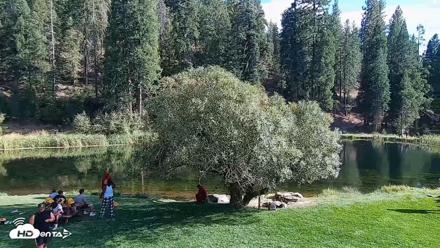 Greenhorn Ranch Live Horse Arena Cam - Sep 18, 2026, 4:28pm PDT