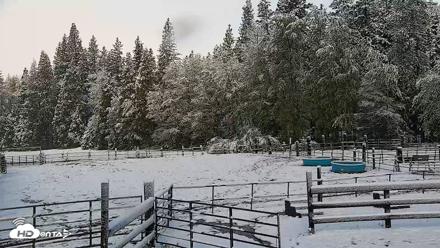 Greenhorn Ranch Live Horse Arena Cam - Apr 12, 2026, 8:35am PDT