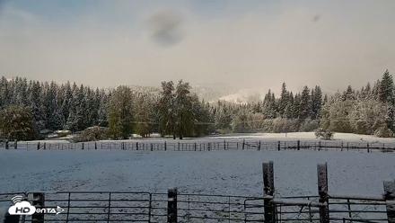Greenhorn Ranch Live Horse Arena Cam - Apr 12, 2026, 8:35am PDT
