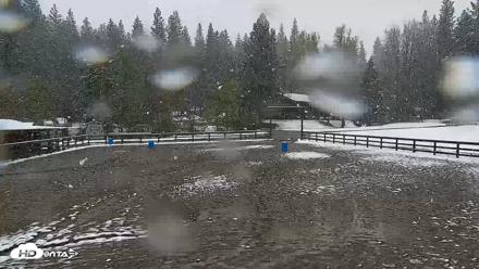 Greenhorn Ranch Live Horse Arena Cam - Apr 12, 2026, 12:07pm PDT