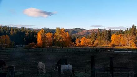 Greenhorn Ranch Live Horse Arena Cam - Nov 3, 2025, 7:45am PST