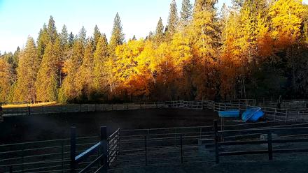 Greenhorn Ranch Live Horse Arena Cam - Nov 3, 2025, 7:45am PST